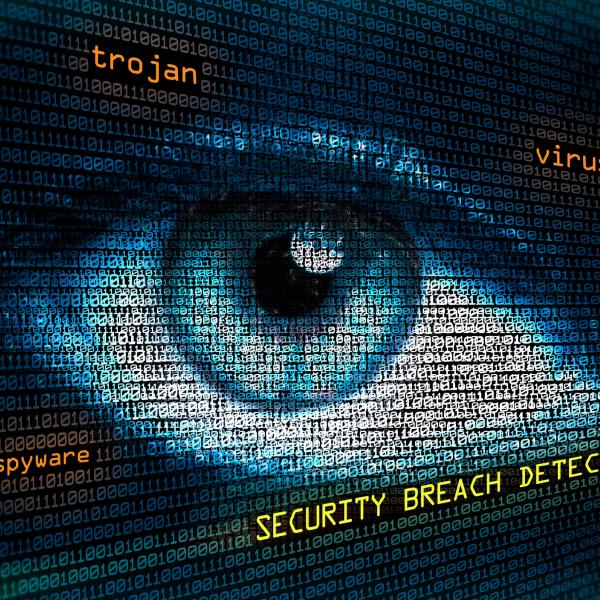Cybersecurity and Privacy