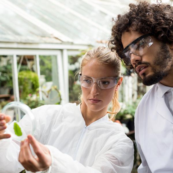 Environmental Science 