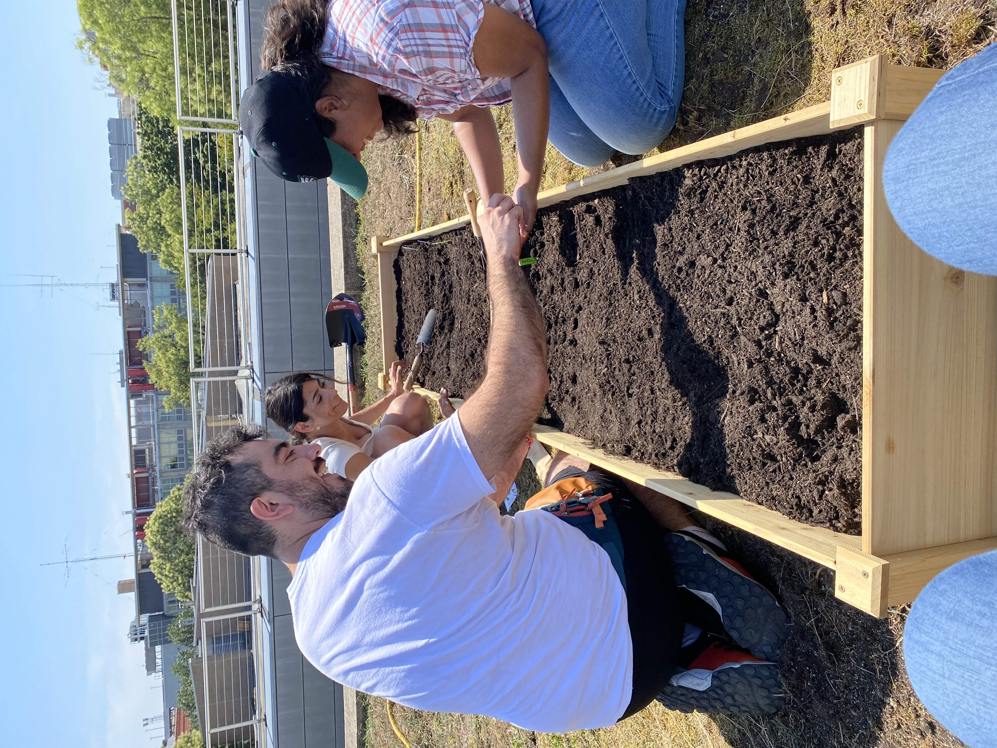 Students planting seeds in a garden bed.